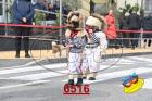 6516.jpg