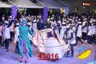 43016.jpg