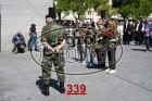 339.jpg
