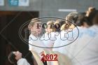 2602.jpg
