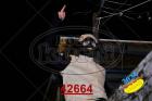 42664.jpg