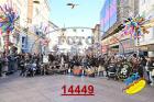 14449.jpg