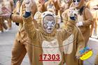 17303.jpg
