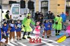 8244.jpg