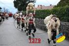 1379.jpg