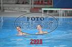 2908.jpg