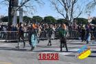 18528.jpg