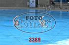 3389.jpg