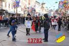13782.jpg