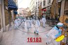 16183.jpg