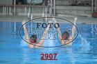 2907.jpg