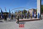 337.jpg