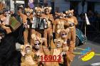 16903.jpg