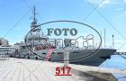 517.jpg