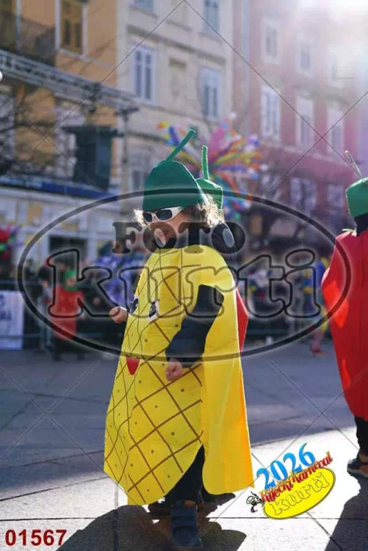 03. DV Vidrice 10 - FotoKurti