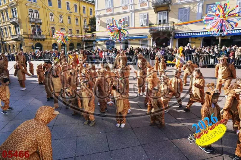 16. DV Pčelice, Škrljevo i DV Loptica, Viškovo 2 - FotoKurti