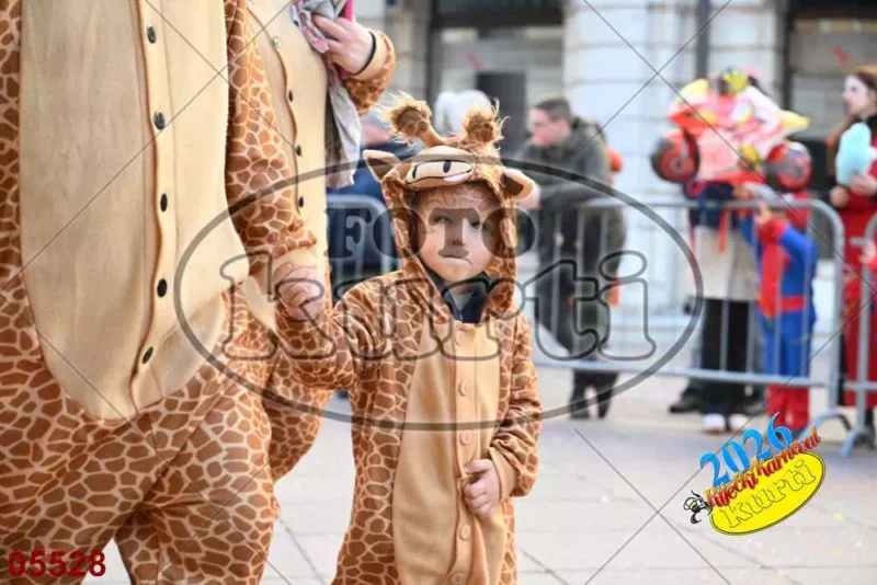 16. DV Pčelice, Škrljevo i DV Loptica, Viškovo 5 - FotoKurti
