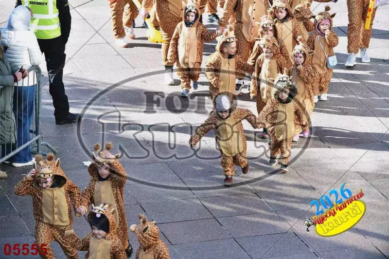 16. DV Pčelice, Škrljevo i DV Loptica, Viškovo 8 - FotoKurti