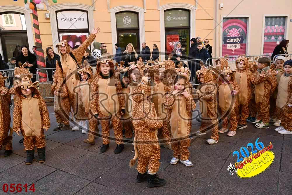 16. DV Pčelice, Škrljevo i DV Loptica, Viškovo 7 - FotoKurti
