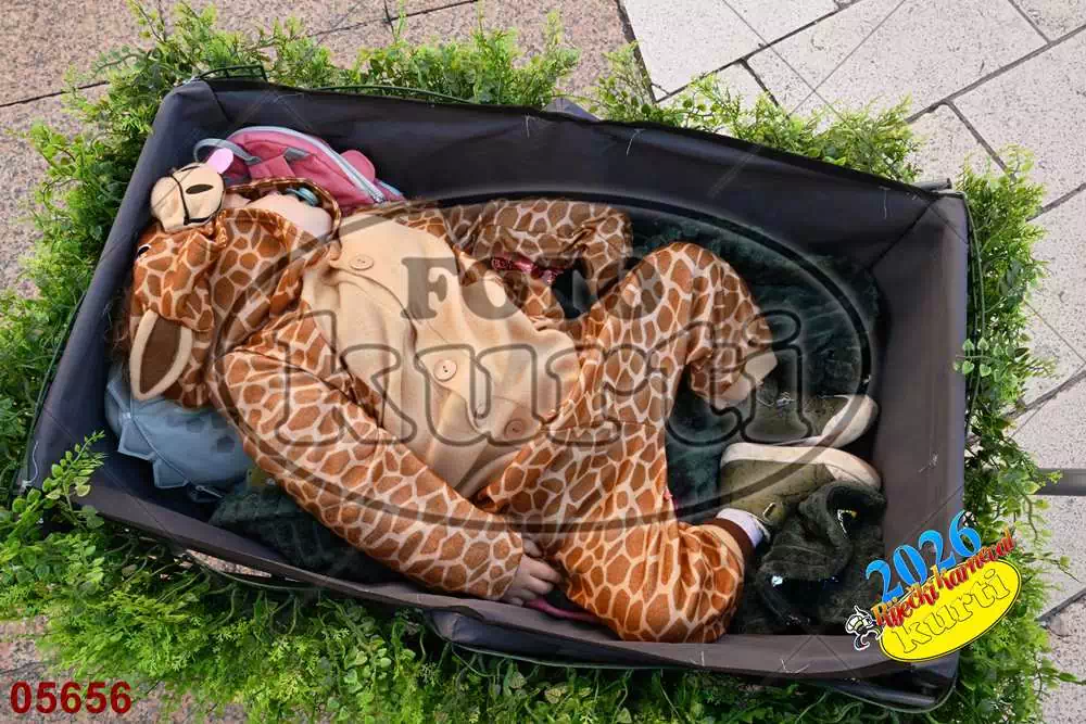 16. DV Pčelice, Škrljevo i DV Loptica, Viškovo 1 - FotoKurti