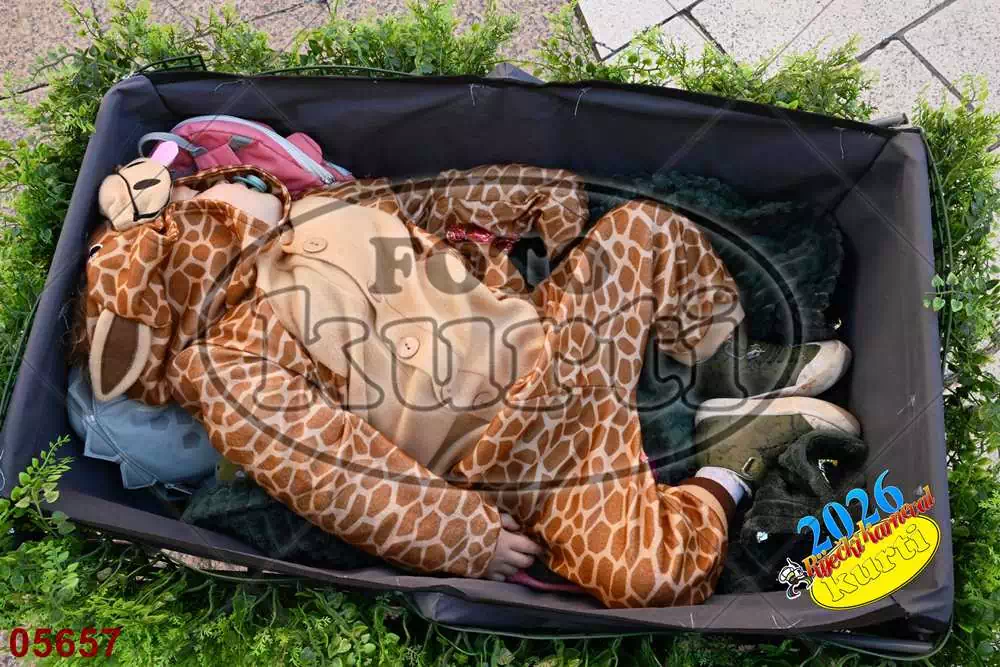 16. DV Pčelice, Škrljevo i DV Loptica, Viškovo 2 - FotoKurti