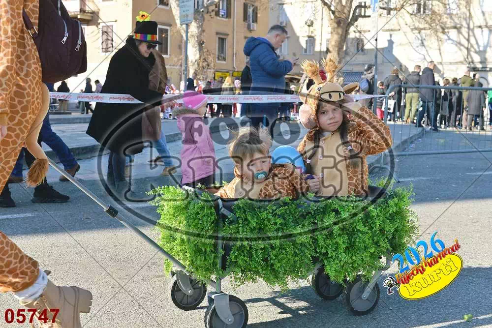 16. DV Pčelice, Škrljevo i DV Loptica, Viškovo 8 - FotoKurti