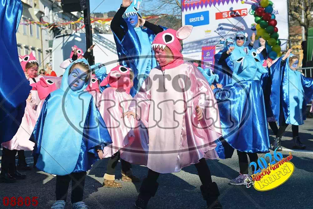 26. DV Cvrčak i mrav (Tribalj i Bribir) 10 - FotoKurti