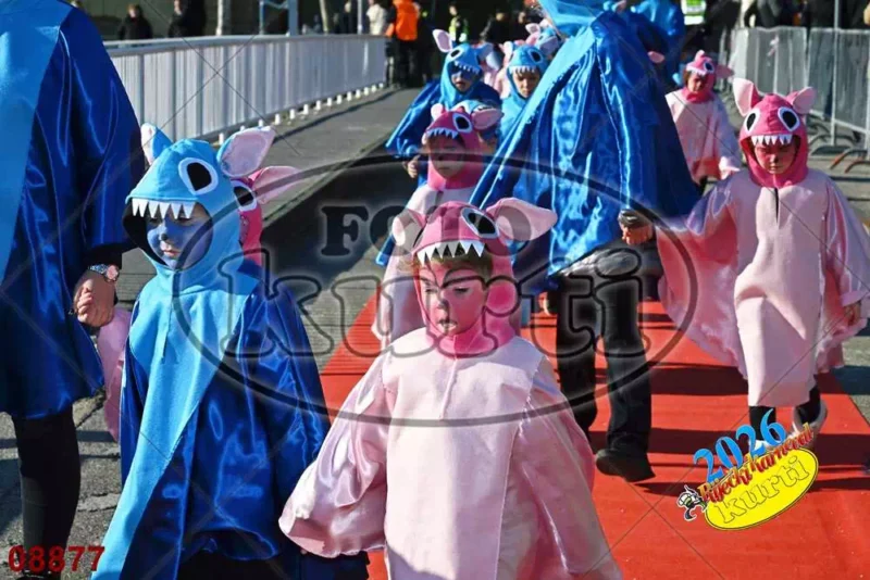 26. DV Cvrčak i mrav (Tribalj i Bribir) 10 - FotoKurti