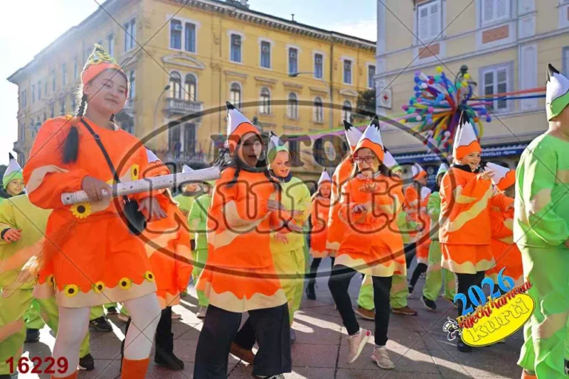 49. Gelsomini 7 - FotoKurti