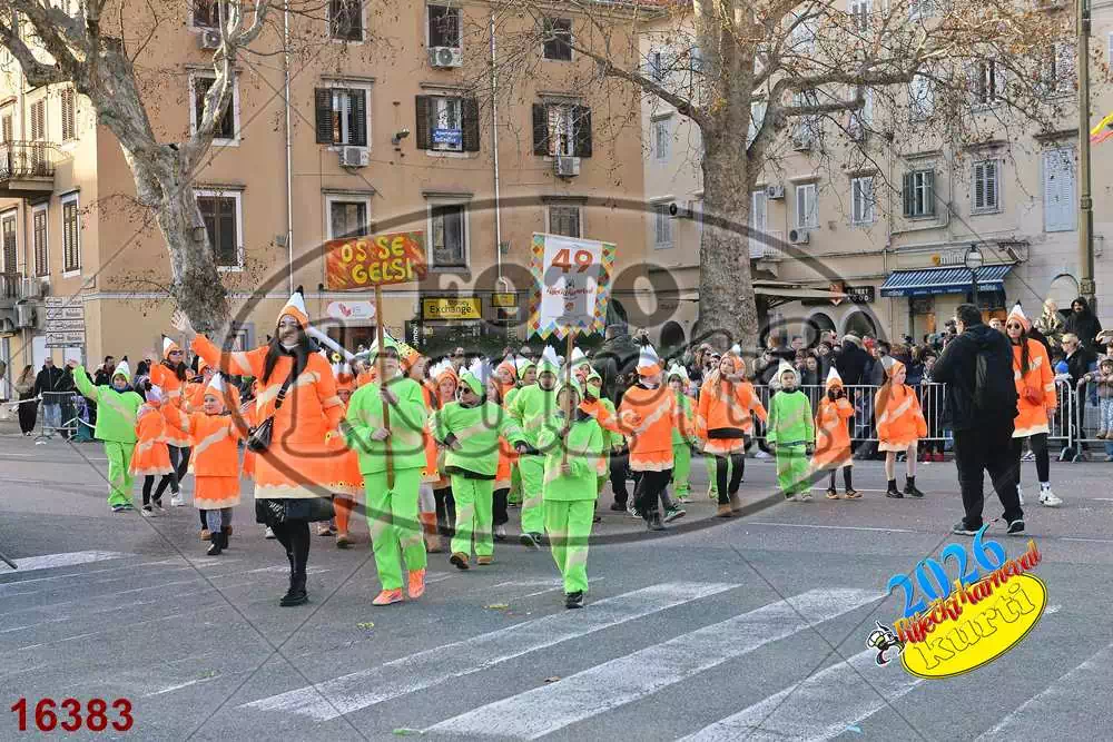 49. Gelsomini 5 - FotoKurti