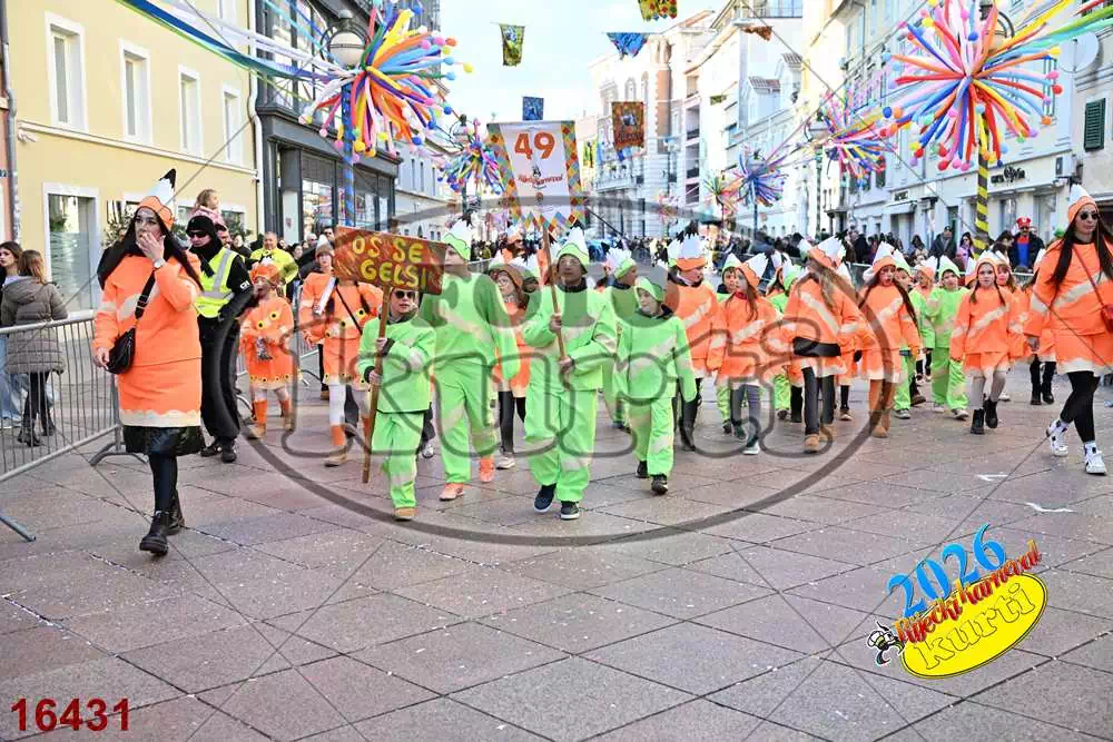 49. Gelsomini 5 - FotoKurti