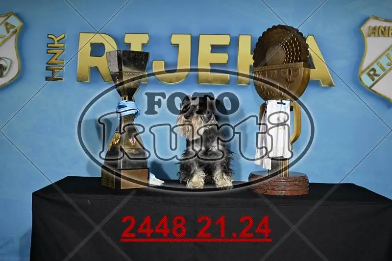 01. Pehari 12 - FotoKurti