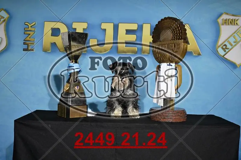 01. Pehari 1 - FotoKurti