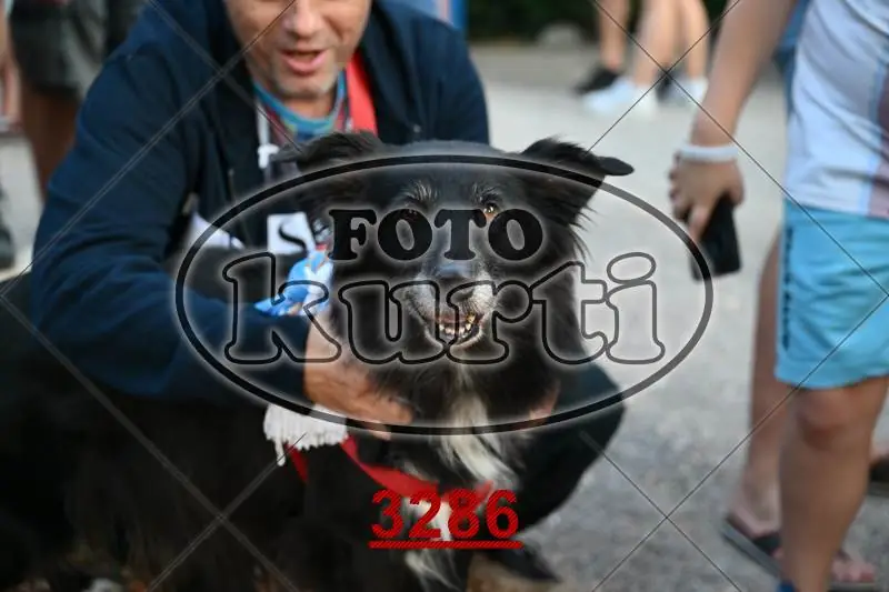 02. Trsatska noć 3 - FotoKurti