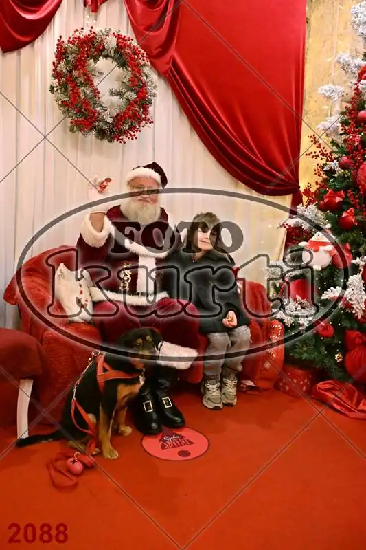 20.12. 10 00 do 15 00 5 - FotoKurti