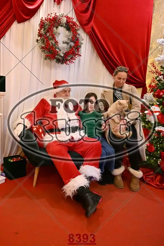 14.12. ujutro 10 - FotoKurti