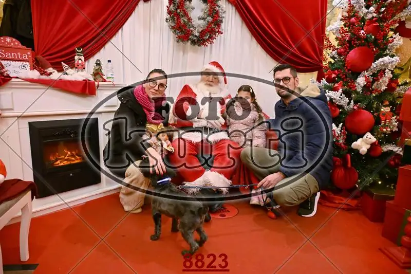 14.12. popodne 4 - FotoKurti