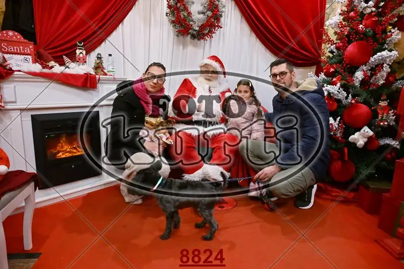 14.12. popodne 5 - FotoKurti