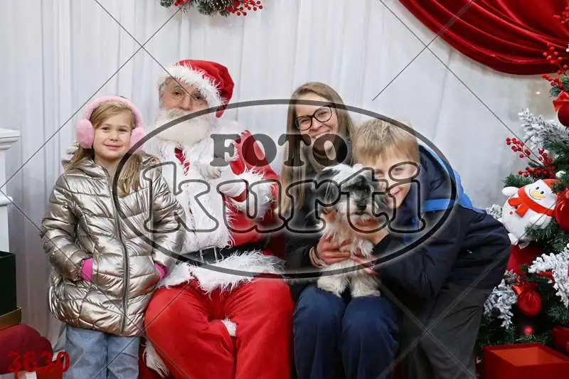 22.12. POPODNE 7 - FotoKurti